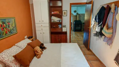 Chalet en calle Diseminado P004 photo 23