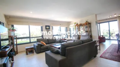 Chalet in Calicanto photo 17