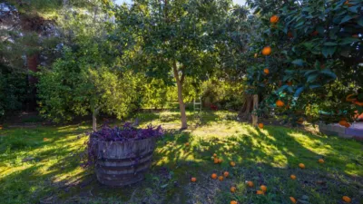 Chalet in South of Spain photo 56