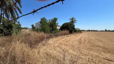 Rustic Finca in Son Ferriol photo 5