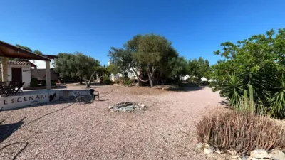 Apartment in El Altet - Balsares photo 28