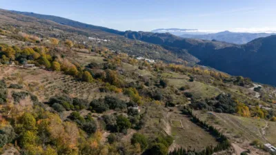 Rustic Finca in Pitres photo 43