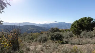 Rustic Finca in Pitres photo 21