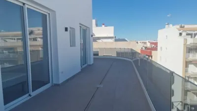 Pis – Torrevieja, El Palmeral - Vista 5