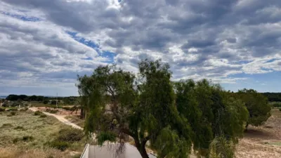 Chalet on Calle Partida Marina photo 13