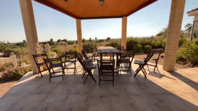 Piso – Elx / Elche, l'Altet - Vista 3