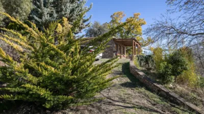 Rustic Finca in Pitres photo 35