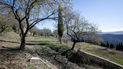 Rustic Finca in Pitres photo 26