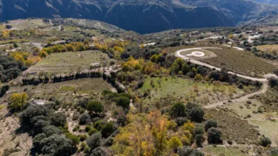 Rustic Finca in Pitres photo 50