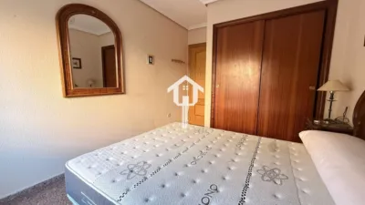 Apartment on Avenida del Pintor Baeza photo 16