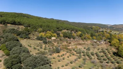Rustic Finca in Pitres photo 46