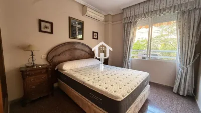 Apartment on Avenida del Pintor Baeza photo 15