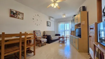 Pis – Torrevieja - Vista 5