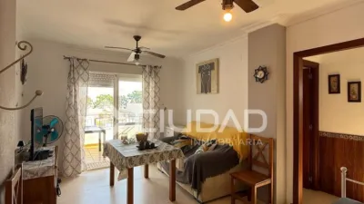 Apartment in Playa de Regla photo 11