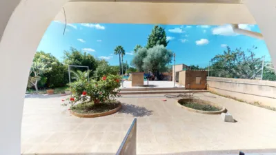 House in Algaida photo 10