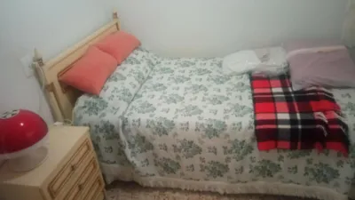 Apartment in the North Zone photo 22