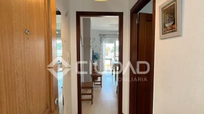 Apartment in Playa de Regla photo 9