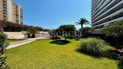 Apartment on Avenida del Norte photo 18