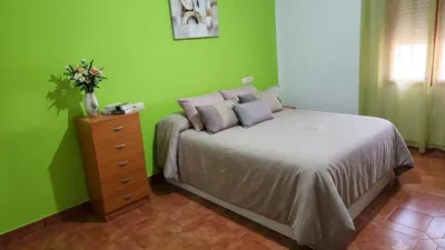 House on Calle de las Viviendas Protegidas photo 12