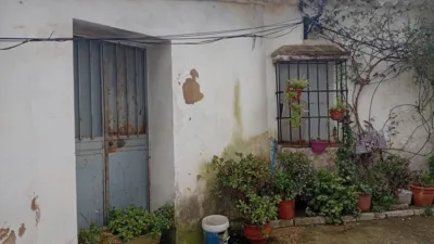 House on Calle del Olmo photo 24