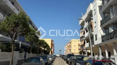 Apartment in Playa de Regla photo 3