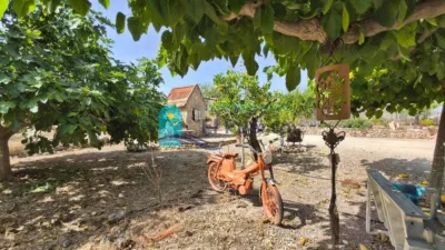 Rustic Finca in Raiguero Bajo photo 40