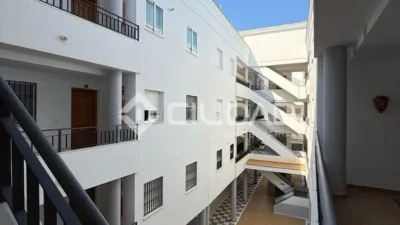 Apartment in Playa de Regla photo 6