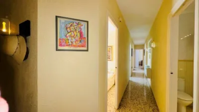 Pis – Torrevieja - Vista 5
