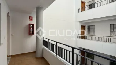 Apartment in Playa de Regla photo 7