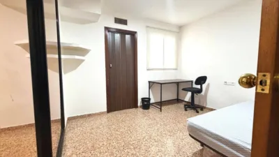 Pis – Sant Vicent del Raspeig - San Vicente del Raspeig, l'Alacantí - Més