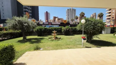 Apartment in Levante photo 20