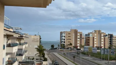 Pis – Pilar de la Horadada, Torre de la Horadada - Vista 2
