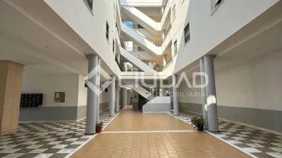 Apartment in Playa de Regla photo 4