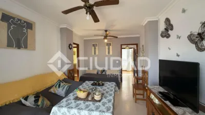 Apartment in Playa de Regla photo 12