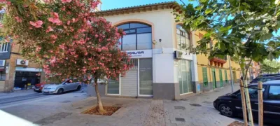 House on Plaça de Guillem Moragues photo 6