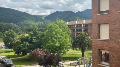 Apartment in Artebizkarra photo 10