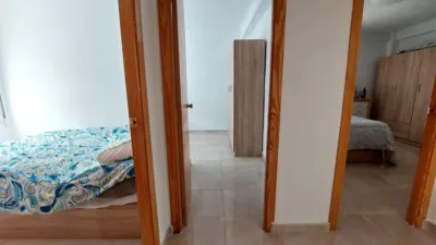 Pis – Sant Vicent del Raspeig - San Vicente del Raspeig, l'Alacantí - Vista 2