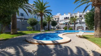 Apartment in La Mata photo 30