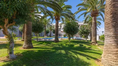 Apartment in La Mata photo 28