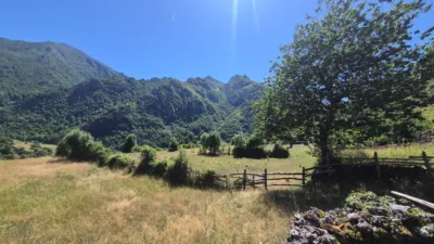 Finca rústica en venta en Calle Cuevas, El Pino (Moreda). Municipio de Aller de 19.500 €