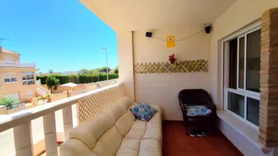 Pis – Orihuela, Villa Martín - Vista 2