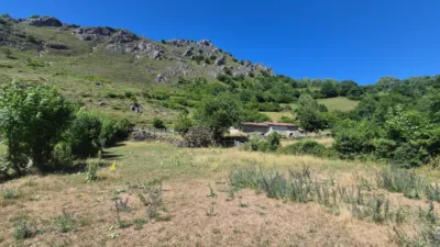 Finca rústica en venta en Calle Cuevas, El Pino (Moreda). Municipio de Aller de 19.500 €