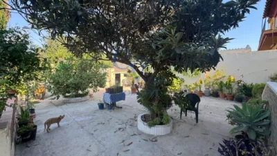 Rustic Finca in Entrenúcleos photo 37