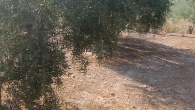 Rustic Finca in Otras photo 5