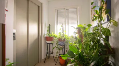 Apartment in San Pablo photo 27
