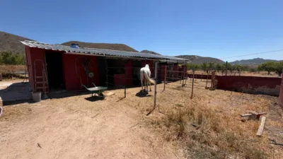 House in Barbarroja photo 39