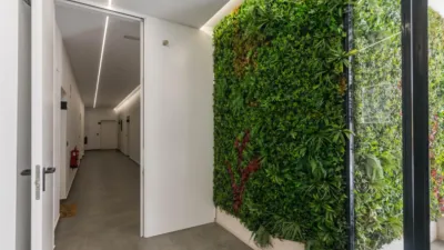 Penthouse on Manuel Sanchez Baena Man Street photo 59