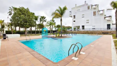 Apartment in Condado de Alhama photo 2