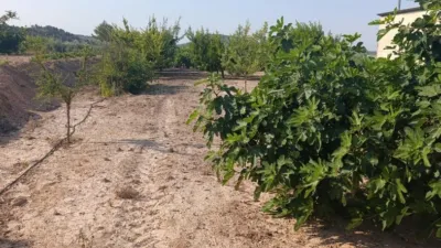 Rustic Finca in Otras photo 16