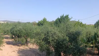 Rustic Finca in Otras photo 10